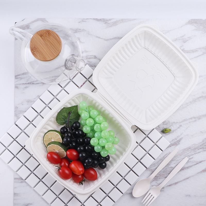8-inch Cornstarch Clamshell Food Container product image showing cornstarch tableware for foodservice packaging